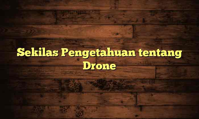 Sekilas Pengetahuan tentang Drone